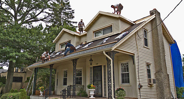 Best Storm Damage Roof Repair  in Hartington, NE