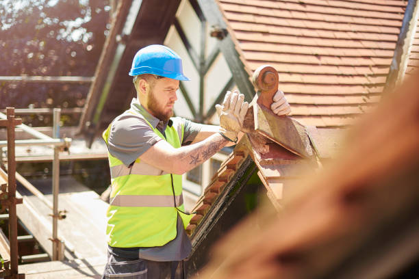 Best Flat Roof Repair Services  in Hartington, NE